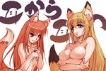  animal_ears breast_envy breasts cleavage crossover fox_ears hisahiko holo large_breasts long_hair multiple_girls no_nipples nude small_breasts spice_and_wolf tail tenko_kuugen wagaya_no_oinari-sama wolf_ears 