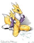  digimon renamon tagme 