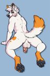  anthro anus backsack balls butt canid canine flaccid fox humanoid_penis looking_back male mammal nude penis rokemi simple_background smile solo 
