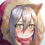  1girl animal_ear_fluff animal_ears arknights bangs blush brown_eyes chi_yei closed_mouth commentary_request eyebrows_visible_through_hair fur-trimmed_hood fur_trim grey_hair hair_between_eyes hood hood_up looking_at_viewer projekt_red_(arknights) red_scarf scarf solo 