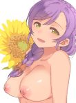  1girl :d bow braid breasts crown_braid deyuuku floral_background flower green_eyes hair_bow hair_over_shoulder large_breasts long_hair looking_at_viewer love_live! love_live!_school_idol_project nipples nude open_mouth purple_hair red_bow single_braid smile solo toujou_nozomi upper_body yellow_flower 
