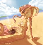  absurd_res beach blue_eyes breasts dialogue duo featureless_breasts female female_focus forked_tongue hi_res human male mammal naga non-mammal_breasts outside reptile scalie seaside sitting snake solo_focus text tongue tongue_out vaktus video_games viper_(x-com) x-com 