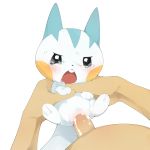  1:1 bestiality blush bodily_fluids cum female feral genital_fluids hi_res human human_on_feral interspecies male male/female male_on_feral mammal nintendo pachirisu penis pok&eacute;mon pok&eacute;mon_(species) pok&eacute;philia pussy tears video_games youjomodoki 