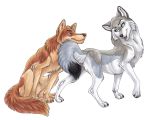  5:4 animal_genitalia black_nose brown_fur brown_nose canid canine canis duo female feral fully_sheathed fur grey_fur male male/female mammal sheath simple_background white_background wielder wolf yellow_eyes 