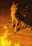  2019 4_toes ambiguous_gender black_nose canid canine canis detailed_background digital_media_(artwork) feral fire mammal night oneminutesketch outside sitting solo toes wolf 