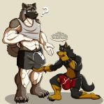  2019 4_toes 5_fingers ? abs anthro anthro_on_anthro beauceron biceps black_fur black_nose blue_eyes boxers_(clothing) brasa brown_eyes brown_fur brown_nose bulge canid canine canis claws clothed clothing clothing_lift doggieo doggieo_(character) domestic_dog duo english_text fingers fur gloves_(marking) grey_fur hand_on_bulge herding_dog hi_res husky leg_markings looking_down male male/male mammal markings multicolored_fur muscular muscular_male muscular_thighs nervous nordic_sled_dog on_knee pastoral_dog pawpads paws pecs shirt shirt_lift socks_(marking) speech_bubble spitz standing tank_top text thinking toe_claws toes topwear two_tone_fur underwear white_fur 