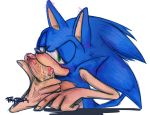  blush bodily_fluids faptor hi_res humanoid_penis male male/male oral penis saliva sonic_(series) sonic_the_hedgehog 