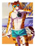  anthro barazoku beach bottomwear camera clothing domestic_cat felid feline felis furryart hi_res invalid_tag kemono mammal muscular nude pantherine photo seaside shorts tiger vitaly_(artist) ych_(character) 