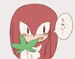  black_eyes blush buke3jp clothing drugs echidna front_view fur gloves handwear holding_object japanese_text knuckles_the_echidna leaf male mammal marijuana monotreme red_fur simple_background solo sonic_(series) speech_bubble text white_background 