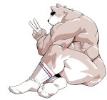  anthro back_muscles biceps big_muscles blush butt canid canine clothing fur gesture grey_fur hi_res legwear looking_at_viewer male mammal mostly_nude muscular muscular_male quads serratus simple_background sitting socks solo syukapong triceps v_sign white_background white_fur 