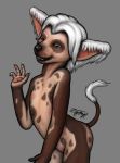  anthro black_lips black_nose canid canine canis chinese_crested_dog domestic_dog female fingerpads hair hairless jinjing-yu lips looking_at_viewer mammal multi_nipple nipples nude open_mouth sharp_teeth smile solo tail_tuft teeth toy_dog tuft white_hair zyonji 