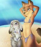  anthro beach bikini blush breasts bulge canid canine clothed clothing crossdressing disney erection female fox fur girly hi_res joykill judy_hopps lagomorph leporid male mammal nick_wilde outside rabbit sand seaside shy side-tie_bikini smile swimwear water zootopia 