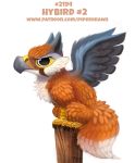  avian canid canine cryptid-creations fox gryphon hybrid mammal solo 