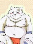  2019 anthro belly black_nose blush bulge clothing fur male mammal moobs navel nipples sitting snow_utamaru solo underwear ursid white_fur 