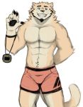  anthro anthro_art barazoku big_(disambiguation) bottomwear bulge clothing domestic_cat felid feline felis hi_res invalid_tag kemono mammal muscular nude shorts trainer vitaly_(artist) 