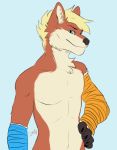  anthro blue_eyes canid canine cast fox male mammal mathias_(character) solo 