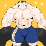  1:1 2018 abs anthro biceps clothing digital_media_(artwork) felid fur kemono male mammal muscular muscular_male nipples pantherine solo syukapong tiger 