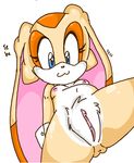  2008 :3 anus blue_eyes breasts clitoris cream_the_rabbit female lagomorph mammal nipples perverted_bunny pussy rabbit sega solo sonic_(series) sonic_team 