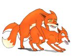  animals_of_farthing_wood fox tagme vixen 