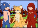  knuckles_the_echidna sonic_team sonic_the_hedgehog tagme tails 