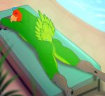  anthro avian beak bird butt feathers looking_back lying male nude on_front outside pig_(artist) smile solo sunbathing vareoth 