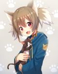  1girl animal_ears blush brown_hair cat cat_ears choker fang hair_between_eyes looking_at_viewer multicolored_hair paw_print red_eyes ronba1125 silica skin_fang solo sword_art_online twintails two-tone_hair white_hair 