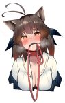  1girl animal_ears antenna_hair bangs blush breasts brown_hair cleavage collar collarbone eyebrows_visible_through_hair girls_frontline gradient_hair hair_between_eyes hair_ornament hair_ribbon heart heart-shaped_pupils leash looking_at_viewer m14_(girls_frontline) medium_breasts multicolored_hair nose_blush off_shoulder ribbon shirt sidelocks solo sweat symbol-shaped_pupils teeth teeth_hold unbuttoned unbuttoned_shirt upper_body warashi white_background white_footwear yellow_eyes 