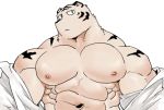  2018 abs anthro biceps big_muscles clothed clothing digital_media_(artwork) felid fur kemono male mammal muscular muscular_male open_shirt pantherine simple_background solo syukapong tiger 