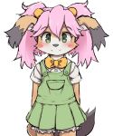  2017 anthro big_eyes big_head blush blush_stickers bow_tie canid canine clothed clothing cub dagasi dipstick_ears female front_view fully_clothed green_eyes hair hi_res kemono looking_at_viewer mammal matoi-chan multicolored_ears pink_hair portrait simple_background smile solo standing three-quarter_portrait white_background young 
