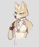  anthro canid canine canis fox_mccloud male mammal nintendo star_fox video_games 