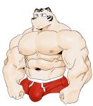  2018 abs anthro biceps bulge clothing deep_navel digital_media_(artwork) felid fur kemono male mammal muscular muscular_male navel nipples pantherine pecs simple_background solo syukapong tiger underwear 