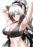  1girl :3 absurdres animal_ears arknights armpits arms_behind_head arms_up bandeau bare_arms bare_shoulders black_hair breasts cat_ears cleavage collarbone covered_nipples crop_top gradient_hair higandgk highres large_breasts long_hair looking_at_viewer midriff multicolored_hair navel ponytail schwarz_(arknights) silver_hair simple_background sleeveless smile solo stomach upper_body white_background yellow_eyes 
