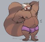  2019 ailurid anthro armpit_hair belly black_nose blush bulge clothing humanoid_hands male mammal minedoo moobs navel nipples overweight overweight_male red_panda simple_background solo underwear 
