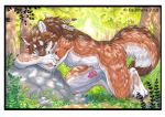  2019 4_toes 5_fingers anthro balls blue_eyes brown_fur brown_hair canid canine canis day detailed_background fingers forest fur grass hair kashmere looking_at_viewer male mammal outside penis solo toes traditional_media_(artwork) tree wolf 