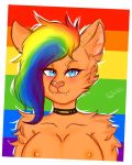  2019 anthro big_breasts blue_eyes breasts canid canine canis choker collar digital_media_(artwork) domestic_cat ear_piercing felid feline felis female fur hair hi_res hybrid jewelry looking_at_viewer mammal mia_dyke_(character) multicolored_hair necklace nipple_piercing nipples nude piercing rainbow rainbow_hair simple_background smile solo wolky 