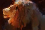  2019 digital_media_(artwork) felid feral fur hair lion male mammal pantherine solo tamberella whiskers 