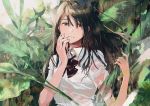  1girl black_bow black_neckwear bow brown_eyes brown_hair fly_(marguerite) hand_up leaf long_hair looking_at_viewer original shirt short_sleeves solo uniform upper_body very_long_hair wet white_shirt 
