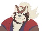  2019 absurd_res anthro canid canine clothed clothing dasoowolf goemon_(tas) hi_res male mammal raccoon_dog simple_background solo tanuki tokyo_afterschool_summoners video_games white_background 
