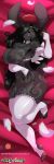  2019 4_toes 5_fingers angel_loveridge anthro armwear better_version_at_source big_breasts black_fur black_hair blush breasts bridal_gauntlets chalo clothing dakimakura_design female fingers fur hair hair_over_eyes lagomorph legwear leporid long_hair looking_at_viewer lying mammal nipples patreon rabbit seductive socks solo squish stockings thick_thighs thigh_highs thigh_squish toeless_legwear toeless_socks toes url 