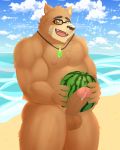  2019 anthro balls beach blush brown_fur cute_fangs edogast erection eyewear food fruit fur glasses humanoid_hands humanoid_penis male mammal melon penis plant seaside slightly_chubby solo tokyo_afterschool_summoners ursid video_games volos water watermelon 