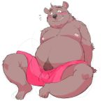  2019 anthro belly blush bottomwear bulge chisa_sa clothing male mammal moobs nipples overweight overweight_male pubes shorts simple_background sitting solo ursid white_background 