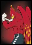  anthro avian bandage beak bird clothed clothing digital_media_(artwork) european_mythology eviljrgr feathers fight_pose greek_mythology looking_at_viewer male marcus_red muscular muscular_male mythological_bird mythological_firebird mythology phoenix red_feather simple_background solo wings 