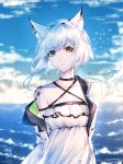  1girl animal_ear_fluff animal_ears arknights bangs bare_shoulders bird closed_mouth cloud day dress flock green_eyes kal&#039;tsit looking_at_viewer outdoors seagull short_hair sleeveless sleeveless_dress solo standing water white_dress white_hair windworker 