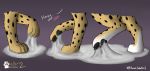  4_toes azural_cobaltros cheetah felid feline feral glue mammal pawpads paws quadruped sticky struggling stuck toes trap_(disambiguation) vector_cheetah 