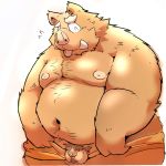  2019 anthro balls belly clothing flaccid humanoid_hands male mammal moobs navel nipples overweight overweight_male penis simple_background solo suid suina suishou0602 sus_(pig) tongue tongue_out underwear white_background wild_boar 