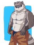  anthro barazoku big_(disambiguation) invalid_tag kemono male mammal muscular overweight procyonid raccoon vitaly_(artist) 