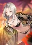 bikini black_bikini breasts carmilla_(fate/grand_order) carmilla_(swimsuit_rider)_(fate) cleavage eyewear_in_mouth fate/grand_order fate_(series) kagachi_saku large_breasts long_hair looking_at_viewer mouth_hold one_eye_closed open_clothes open_robe ponytail robe see-through silver_hair smile sunglasses swimsuit yellow_eyes 