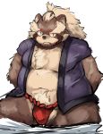  2019 anthro belly brown_fur bulge canid canine clothing fundoshi fur goemon_(tas) japanese_clothing lamel_8100 male mammal moobs overweight overweight_male raccoon_dog shirt solo tanuki tokyo_afterschool_summoners topwear underwear video_games 
