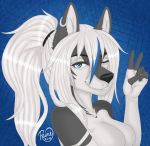  blue_eyes blue_highlights canid canine canis digital_media_(artwork) ear_piercing facial_piercing female hair hair_highlights head_shot hi_res kida_howlette lip_piercing long_hair mammal miss_rain peace_sign_(disambiguation) piercing ponytail simple_background white_hair wolf 