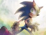  4:3 anthro blue_fur clothing den255 eulipotyphlan fist footwear fur gloves grass green_eyes handwear hedgehog looking_back male mammal outside running shoes smile solo sonic_(series) sonic_the_hedgehog 